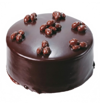 Çikolatalı 6-9 Kişilik Butik Lezzet Serisi Samsun pasta